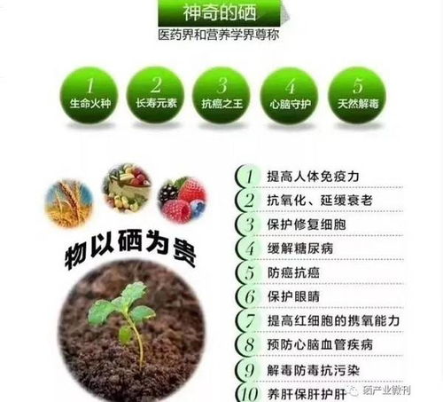 九溪九香 以富硒技術引領特色農業發展，推動現代農業高質量轉型