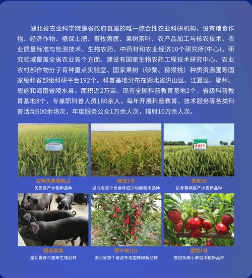 量子科技賦能荊楚沃土 武漢量子技術(shù)研究院的農(nóng)業(yè)新探索